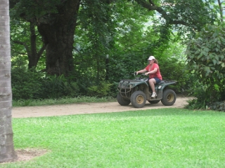  Nature on a quad 